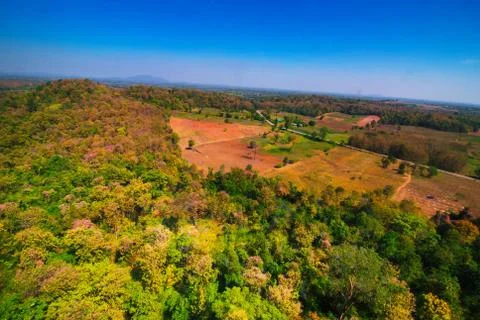 Aerial view of the forest Stock Photos