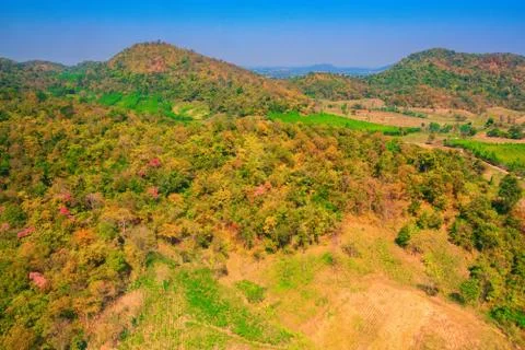 Aerial view of the forest Stock Photos