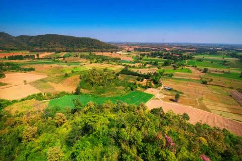 Aerial view of the forest Stock Photos