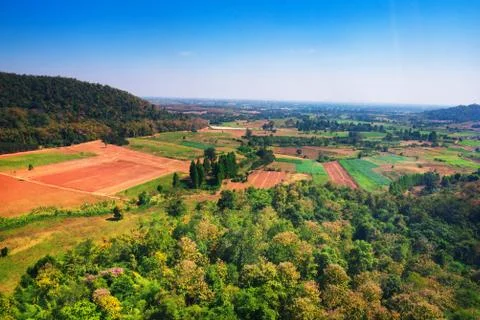 Aerial view of the forest Stock Photos