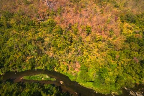 Aerial view of the forest Stock Photos