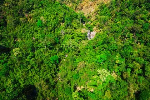 Aerial view of the forest Stock Photos