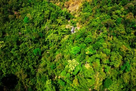 Aerial view of the forest Stock Photos