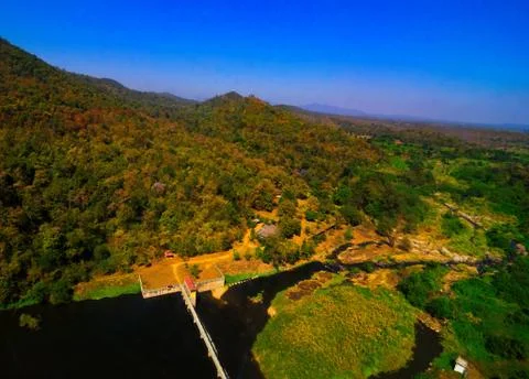 Aerial view of the forest Stock Photos