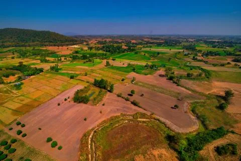 Aerial view of the forest Stock Photos