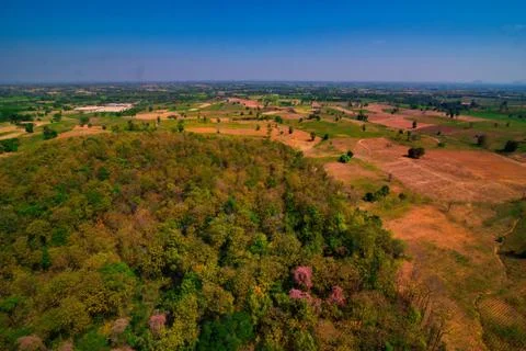 Aerial view of the forest Stock Photos