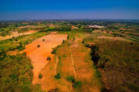 Aerial view of the forest Stock Photos