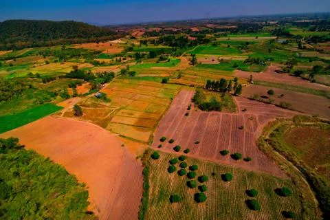 Aerial view of the forest Stock Photos