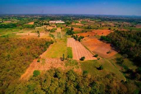 Aerial view of the forest Stock Photos