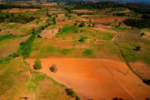 Aerial view of the forest Stock Photos