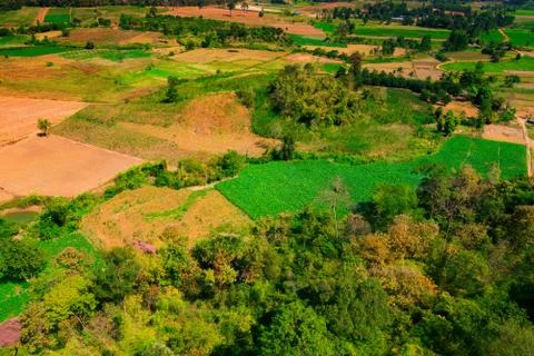 Aerial view of the forest Stock Photos