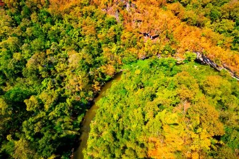 Aerial view of the forest Stock Photos