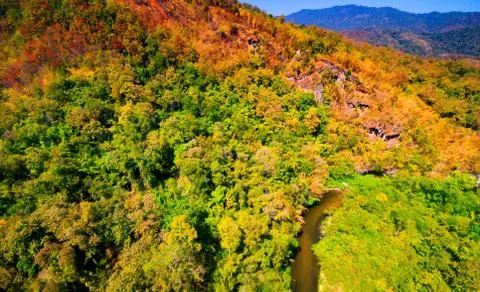 Aerial view of the forest Stock Photos
