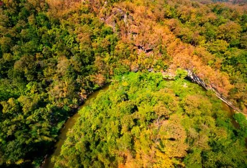Aerial view of the forest Stock Photos