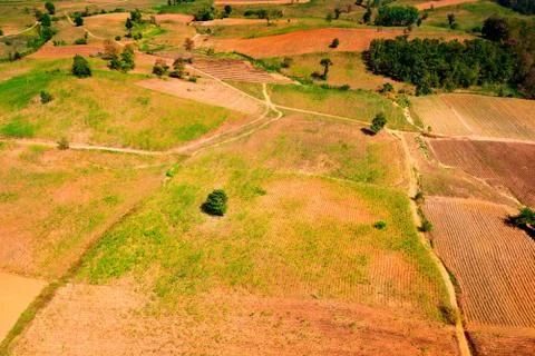 Aerial view of the forest Stock Photos