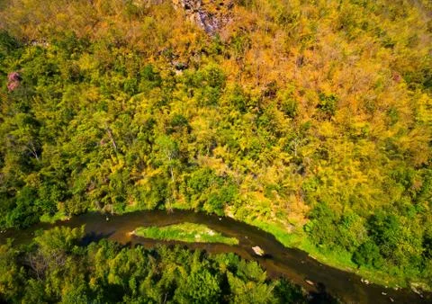 Aerial view of the forest Stock Photos