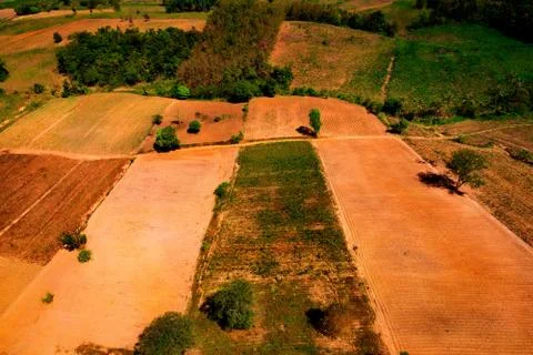 Aerial view of the forest Stock Photos