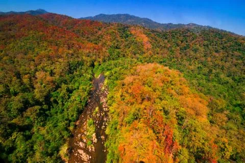 Aerial view of the forest Stock Photos