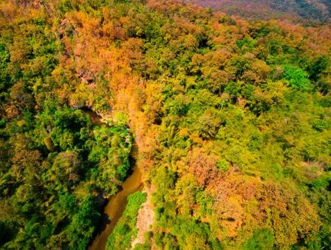 Aerial view of the forest Stock Photos