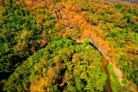 Aerial view of the forest Stock Photos