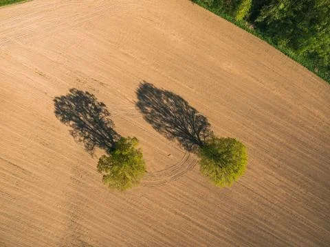 Aerial view of forest Stock Photos