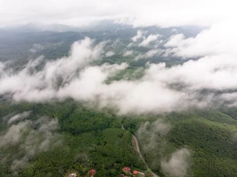Aerial view in the forest Foto stock