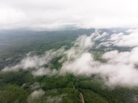 Aerial view in the forest Foto stock