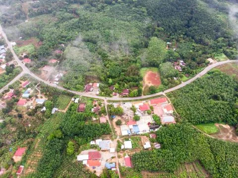 Aerial view in the forest Foto stock