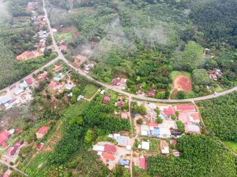 Aerial view in the forest Foto stock