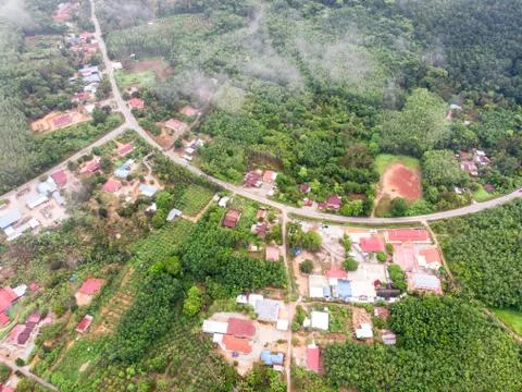 Aerial view in the forest Foto stock