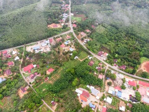 Aerial view in the forest Foto stock