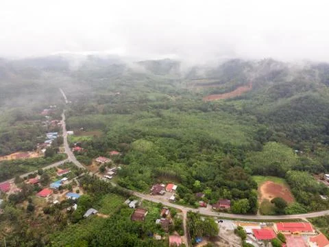 Aerial view in the forest Foto stock