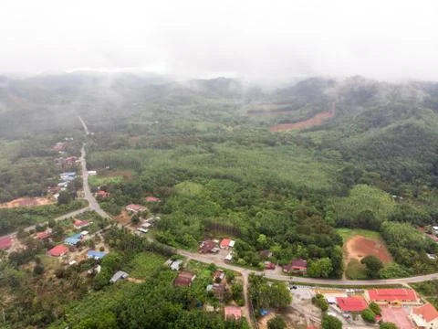 Aerial view in the forest Foto stock