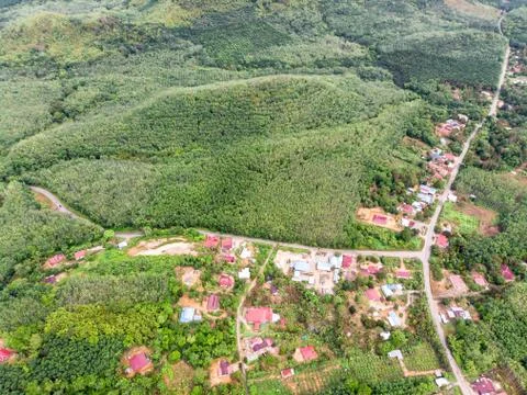 Aerial view in the forest Foto stock