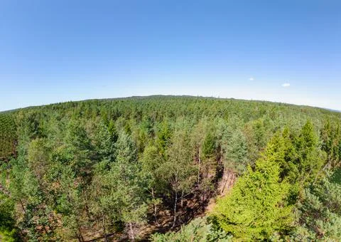 Aerial view of forest Stock Photos