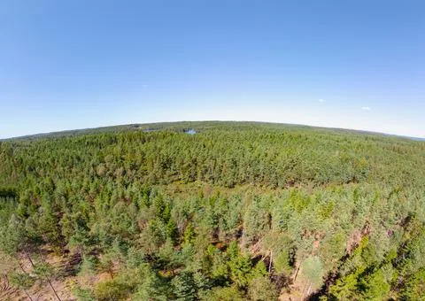 Aerial view of forest Stock Photos
