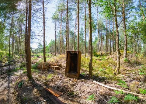 Aerial view of forest Stock Photos