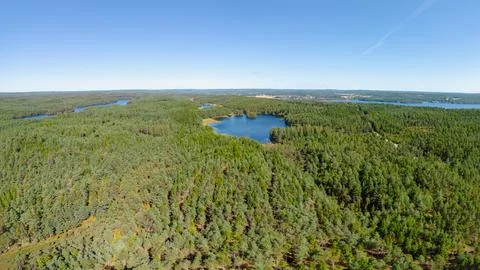 Aerial view of forest Foto stock