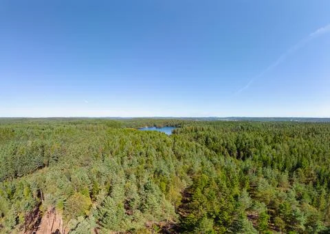 Aerial view of forest Foto stock