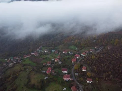 Aerial view of the forest Foto stock