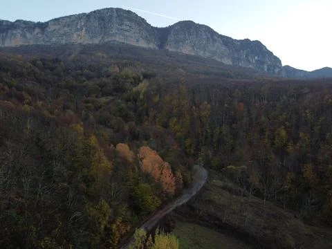 Aerial view of the forest Stock Photos