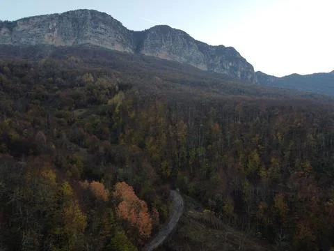 Aerial view of the forest Fotos de archivo