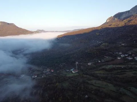 Aerial view of the forest Stock Photos