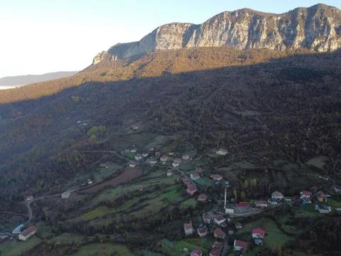 Aerial view of the forest Stock Photos