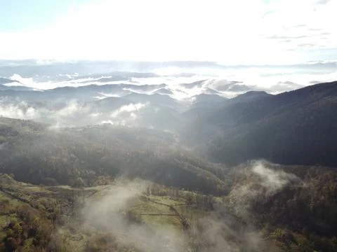 Aerial view of the forest Stock Photos