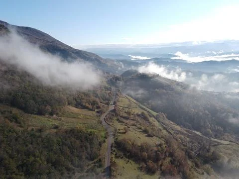 Aerial view of the forest Stock Photos