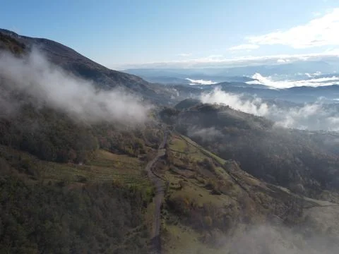 Aerial view of the forest Stock Photos