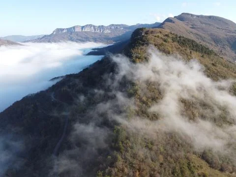 Aerial view of the forest Stock Photos