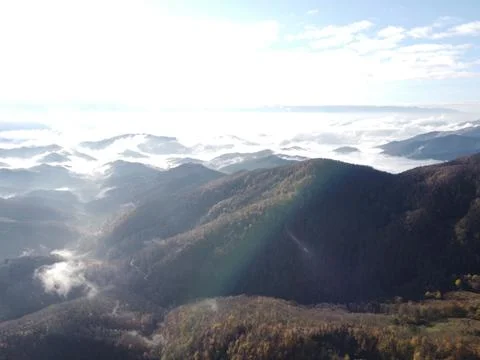 Aerial view of the forest Stock Photos