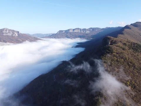 Aerial view of the forest Stock Photos